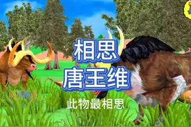 《相思》唐，王维 红豆生南国， 春来发几枝。 译文视频封面
