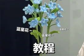 用扭扭棒做蓝星花 #扭扭棒蓝星花 #蓝星花 #扭扭棒手工 #手工DIY #手工花扭扭棒视频封面