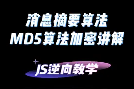 消息摘要算法中的md5是怎样进行加密的？#Python #爬虫 #JS逆向