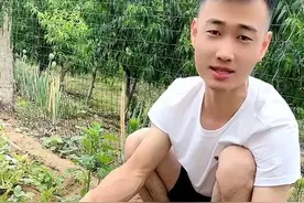 都说种地蛋刚挣钱，我怎么种出来跟溜溜蛋子似的#记录真实生活 #幽默段子 #农村生活 #意想不到的结局 @抖音短视频视频封面