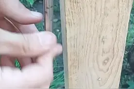 如何快速制作一个可以养十头的围栏？最后效果真是坚不可摧啊！ #水电工必备神器 #水电工 #装修工具 #实用小技巧 #木工技巧视频封面
