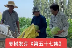 #农村连续剧#八十年代故事#农村短剧