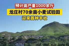 稻花香里说丰年！平定县巨城镇龙庄村70余亩小麦试验田迎来了首种丰收，预计亩产量1000余斤。（记者：刘胜 编辑：王彤）#收麦子 #小麦 #丰收 #魅力阳泉共赢未来