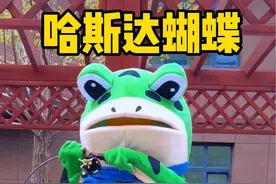 哈斯达蝴蝶爆竿测评 哈斯达蝴蝶测评，结局还是超出预期的#路亚竿 ##鱼竿推荐 #路亚竿测评 #微物竿 #哈斯达
