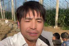 希望我是错的视频封面