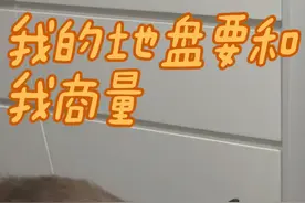 领地意识超级强，他的地盘绝对不能不经过他允许随便放东西😓#记录猫咪日常 #它真的好像个小宝宝 #你家猫猫也会这样吗 #这是我一手养大的猫 #这一小坨猫谁受得了