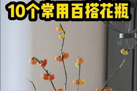 270平的家里有60多个花瓶，我挑了10个比较百搭的花瓶，大多数都适合插应季鲜花#花瓶  #室内花摆设 #爱生活爱养花 #软装搭配 #居家好物