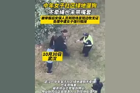 女子社区绿地遛狗，不牵绳也未带嘴套，被举报后安保人员到现场发现边牧无证，处理中遭女子强行阻挠#文明养犬