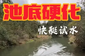 把二号池的池底硬化了，去试下新买的快艇，哈哈玩具快艇。 #三农 #小院改造 #山泉水 #庭院鱼池 #乡村生活