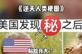 《逆天的人类梗图》 #盘点 #梗图 #小脑萎缩