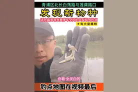 如看不懂导航定位可以看视频左下角塘千万小程序准确定位。 这个钓点在上海青浦区金泽镇北长白荡路与莲龚路口南侧所有水域。#钓点分享 #野河野钓 #路亚标点 #上海露营地推荐 #免费野钓地点视频封面