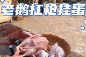 今天可厉害了，老鹅扛枪挂着俩炸弹！得劲的很啊，做好吃的犒劳犒劳自己！#抖音美食创作者 #看看我们农村的硬菜 #新农人计划2023 #美食教程