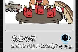 为何动物会吃自己的孩子？ 所谓虎毒不食子，为何某些动物会蚕食自己的幼崽？#科普 #虎毒不食子 #幼崽 #动物世界视频封面