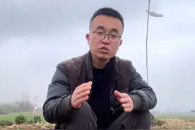 土豆出苗后怎么管理？才能生长旺盛，结的多？#种植小技巧 #我爱种菜 #阳台小院均可种植 #关注我一起学种菜 #每天分享蔬菜种植技巧视频封面