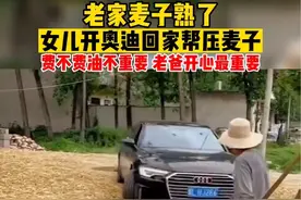 老家麦子熟了，女儿开奥迪回家帮压麦子，费不费油不重要，老爸开心最重要！视频封面