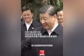 《长安的荔枝》今何在？总书记点赞的茂名“致富果”，枝头鲜甜直供北京市民