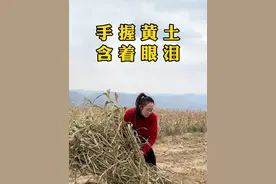 我手握黄土含着眼泪问，为啥山还绕着山。难道出生寒微就该平凡。#平凡的世界 #乡村守护人视频封面