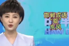 《邯郸成语“乘”东风》#地方戏曲#非遗文化 #成语典故视频封面