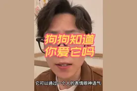 你的狗知道你爱它吗？#养狗经验分享 #科学养狗#新手养狗