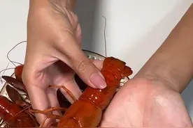 小龙虾大家肯定都吃过，那这个淡水蓝龙虾你们肯定没吃过， 它不是普通的龙虾哦，是淡水的蓝龙虾，这可是高端货#蓝龙虾 #澳洲淡水蓝龙虾 #万绿湖