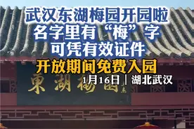 #武汉东湖 #东湖梅园 1月16日，随着梅园内的蜡梅绽放，东湖梅园开园啦，2025新春赏花季将从东湖梅园开始。即日起至梅花展结束，凡名字中带“梅”字的游客可凭有效证件，免费入园游玩。视频封面