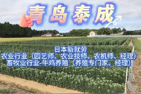 日本农业行业就劳简章，欢迎有兴趣的小伙伴留言咨询。