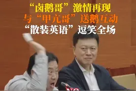 4月16日下午，重庆荣昌。#卤鹅哥激情再现与甲亢哥送鹅互动，座谈会上再笑翻众人，“散装英语”和表情管理都出彩！视频封面