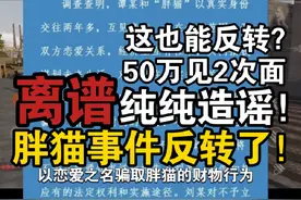 《2024年最大乌龙》胖猫事件？这也能反转？换谭某一个公道！视频封面