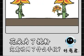 花朵授粉的方式。 #授粉 #涨知识 #花朵 #蜜蜂 #蜂鸟