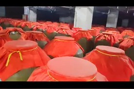 滨州传媒拍客团队闻着酒香探访德州武城古贝春酒厂