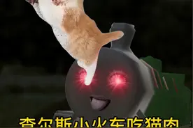 恶魔查尔斯吃猫肉 #萌宠 #动物 #小火车查尔斯 #恐怖 #猫肉为什么不能吃视频封面