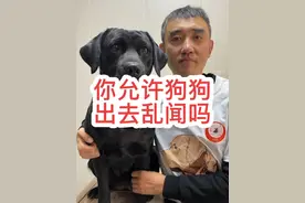 狗狗出去乱闻可以吗？你允许狗狗出去四处嗅闻吗？ 狗狗之间互相闻屁股代表什么？你允许狗狗出去乱闻吗？狗狗到处乱闻脏吗？#狗狗 #新手养狗 #狗狗的心思都写在脸上了 #养狗的乐趣 #狗狗的日常