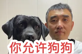 狗狗出去乱闻可以吗？你允许狗狗出去四处嗅闻吗？ 狗狗之间互相闻屁股代表什么？你允许狗狗出去乱闻吗？狗狗到处乱闻脏吗？#狗狗 #新手养狗 #狗狗的心思都写在脸上了 #养狗的乐趣 #狗狗的日常视频封面