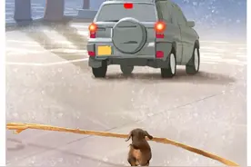 也许狗狗以为自己只要捡到足够多的树枝，奶奶就会回来接自己了吧。#画画 #画一个故事 #狗狗 #感人一幕 #内容启发搜索视频封面