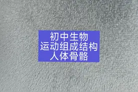 初中生物#运动组成结构#人体骨骼视频封面