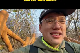 汽车行业开始降价去泡沫了 汽车行业降价开始了#车视频封面