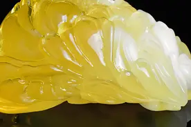 00年的龙01的蛇有什么命运性格特点？#易学智慧 #命理八字视频封面