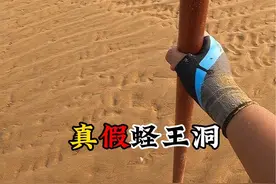 老王发现真假蛏王洞！用盐劝蛏蛏不出，非要让我动钩你才出 #新农人计划2024 #赶海