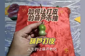 如何让打皮的葫芦不抽，谁有好的办法和建议？葫芦打皮，一镜到底视频封面
