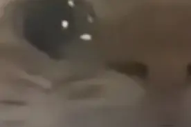 朋友的不理解，她的冷漠独自承受视频封面