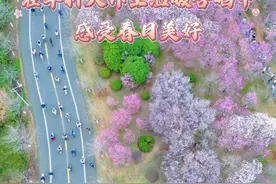 花香与书香不期而遇，一起在华科大师生温暖合唱中感受春日美好~#华中科技大学 #合唱 #世界赠予我的 #校园风景 #带你走进心仪的大学视频封面