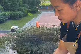 家庭版正宗捂豆的教程来了#纯天然无添加 ##纯天然无添加 #西瓜酱豆 #酱豆子 #老式发酵酱豆的做法