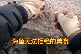 沉底钓海鲈鱼#海钓 #抖音钓鱼人 #沉底钓#抖来钓鱼#钓鱼技巧