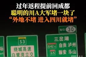 2月1日，成宜高速。为了避堵大年初四提前返回成都，你以为就你聪明呢？#聪明的川A大军都聪明到一块了视频封面