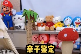 关于小花生的身世之谜 #万物可爱计划 #care好主人C位出道#小奶猫