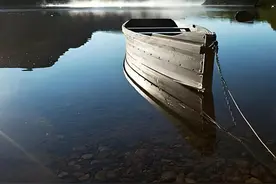 心境之平常心 得而不喜，失而不忧。#心理学 #智慧人生 #生活感悟视频封面