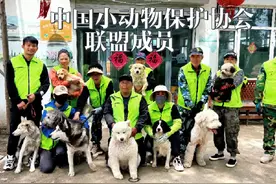 小迟流浪狗大院加入了中国小动物协会联盟，这个喜悦一起分享吧视频封面