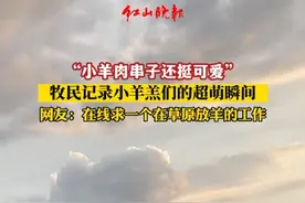 牧民记录小羊羔们的超萌瞬间。#小羊羔 #动物的迷惑行为 #草原生活 视频来源：@Tonic.皮雕制作视频封面