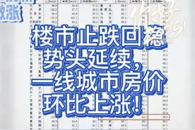 楼市止跌回稳势头延续，一线城市房价环比上涨！ 2024年12月视频封面