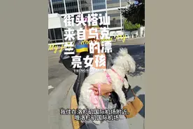 街头搭讪来自乌克兰🇺🇦的漂亮女孩#国外视频分享 #英语口语 #外国女孩 #国外生活视频封面